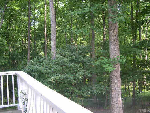 2336 Mt Vernon Church Road Raleigh, NC 27614 - Photo 5 of 7 a view of a forest with a trees