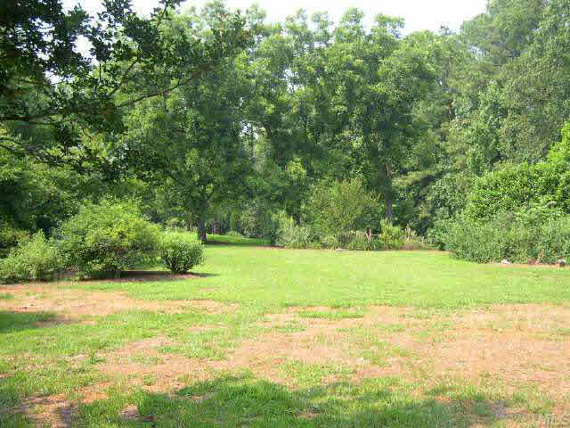 2336 Mt Vernon Church Road Raleigh, NC 27614 - Photo 7 of 7 a view of a yard with an outdoor space