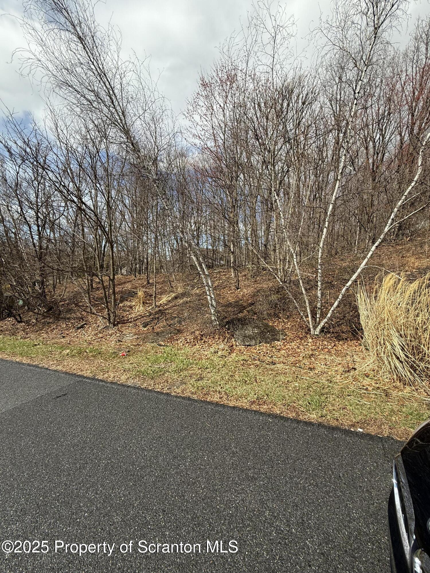 a backyard of a house