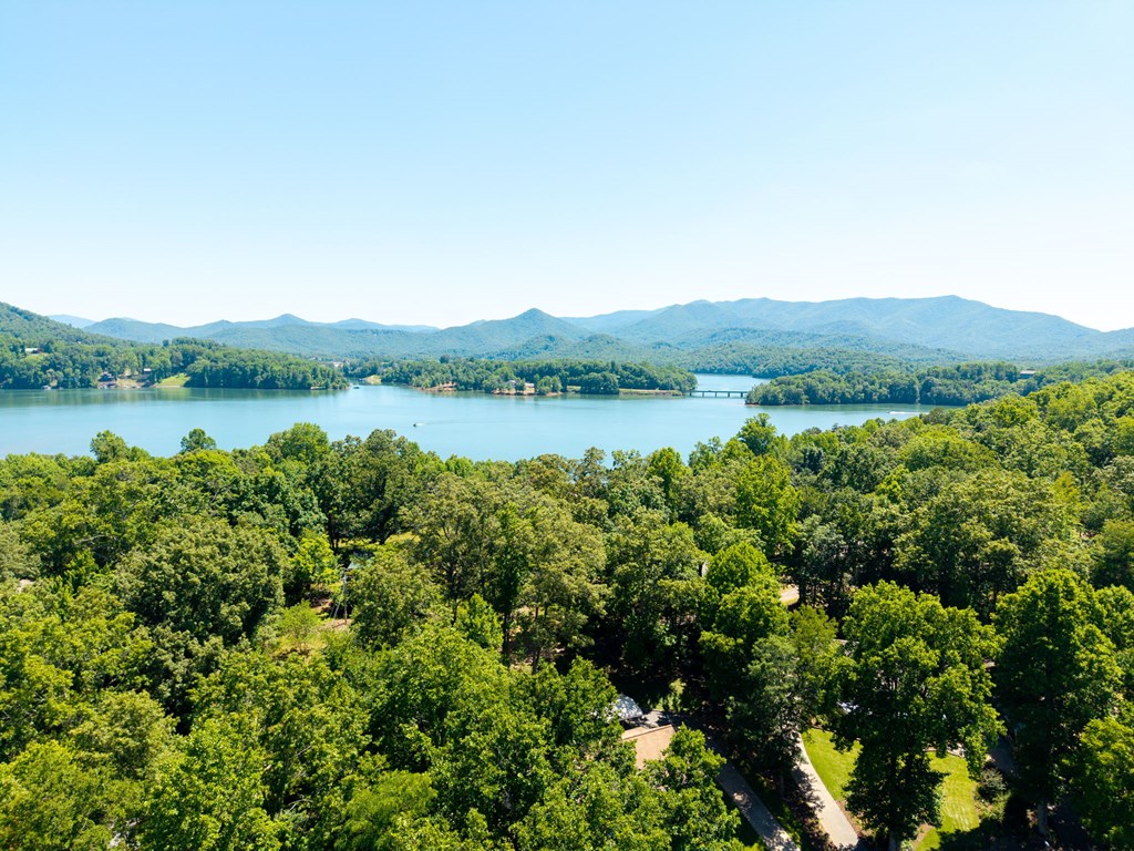 157 Sims Road Hiawassee, GA 30546 - Photo 3 of 50