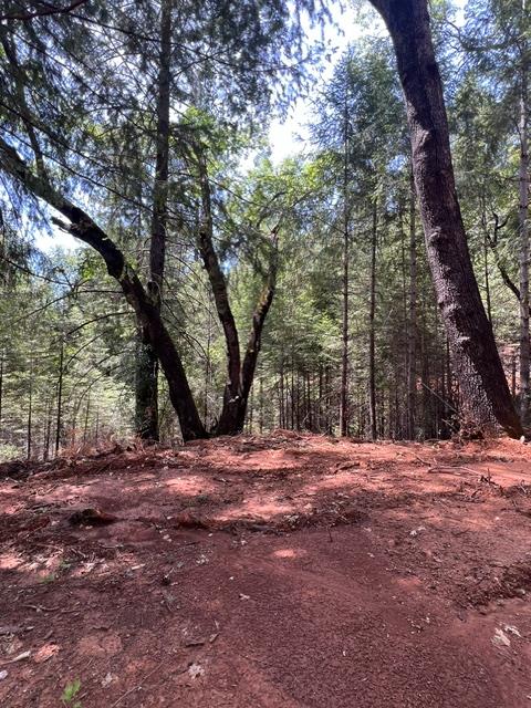 5040 Butterfield Stage Road Georgetown, CA 95634 - Photo 15 of 27 Gallery Image 15