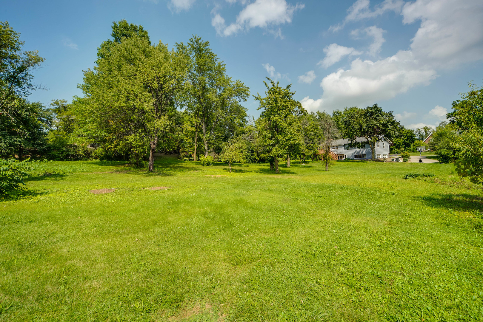 110 Haman Road Inverness, IL 60010 - Photo 29 of 30 a view of a trees in a field