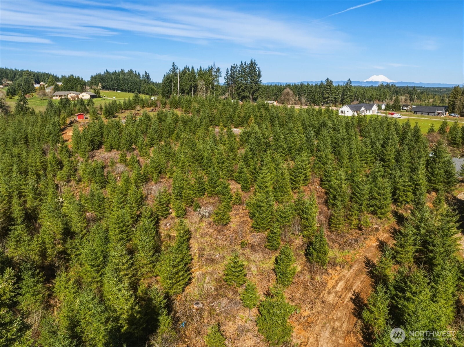 128 Brim Ridge Lane Winlock, WA 98596 - Photo 11 of 11 a view of a city with lush green forest