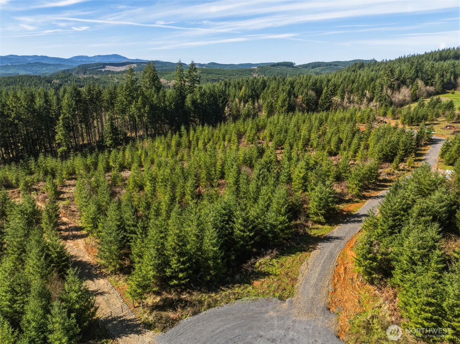 128 Brim Ridge Lane Winlock, WA 98596 - Photo 2 of 11 a view of a lush green forest with houses