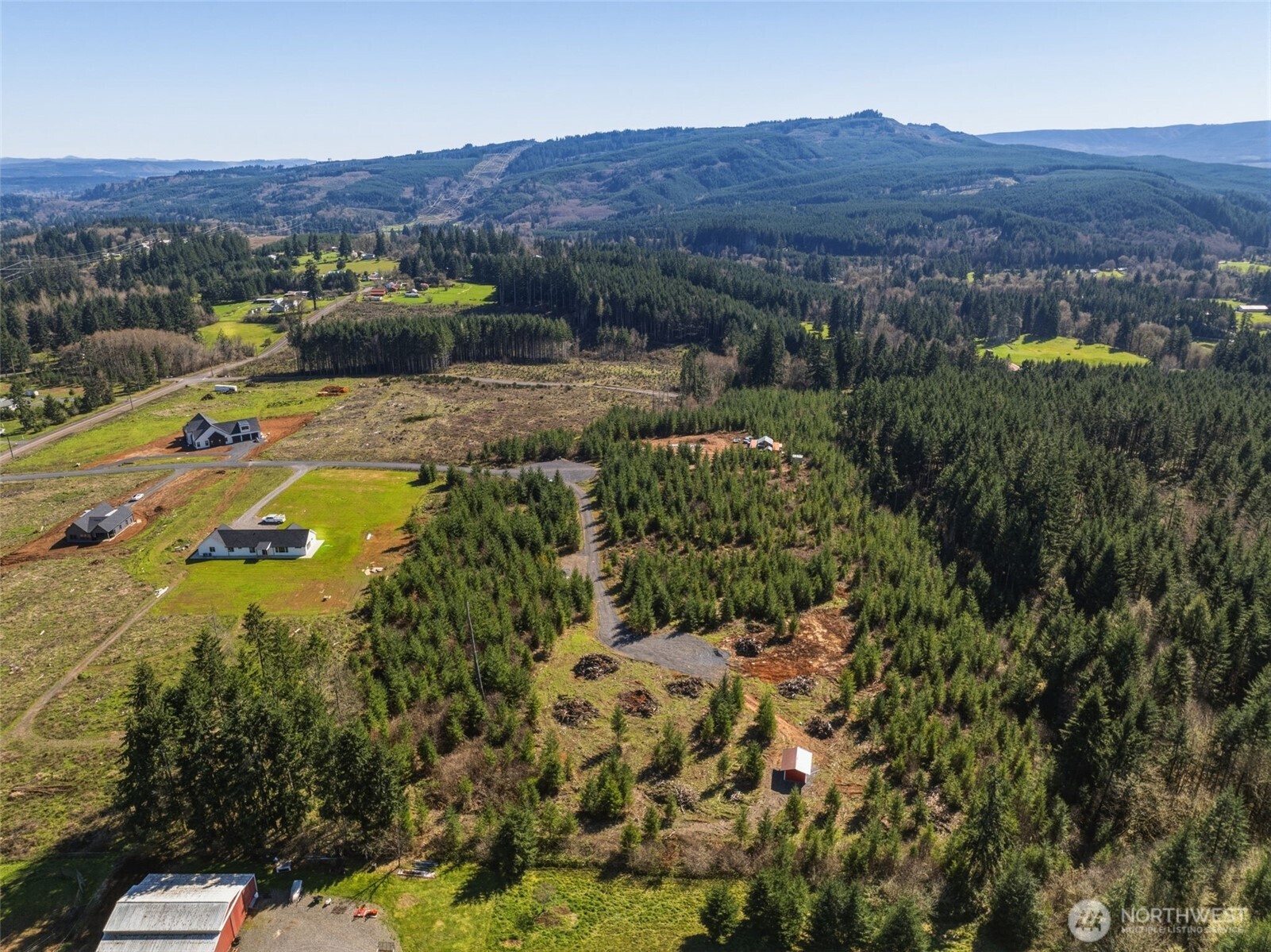 128 Brim Ridge Lane Winlock, WA 98596 - Photo 10 of 11 a view of a lush green field with lots of bushes