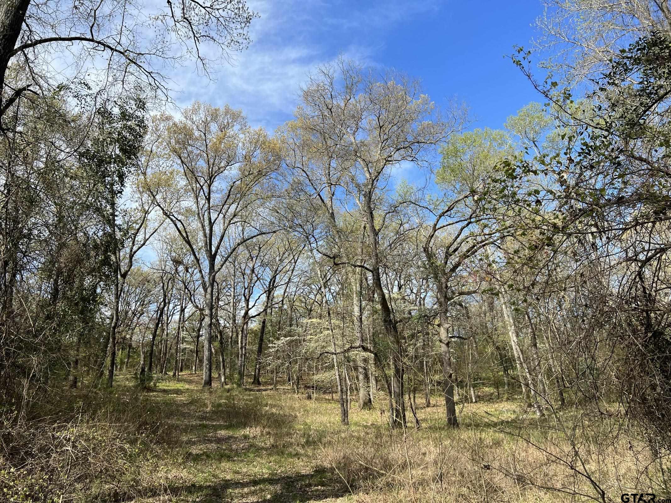 0 C R 434 Lindale, TX 75771 - Photo 7 of 29