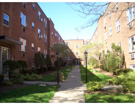 51 Colborne Road, Unit 1 Boston, MA 02135 - Photo 1 of 5 Gallery Image 1