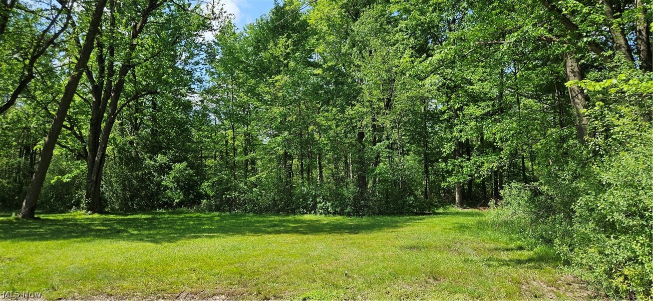 4680 Kirk Road Youngstown, OH 44515 - Photo 22 of 25 Back Yard
