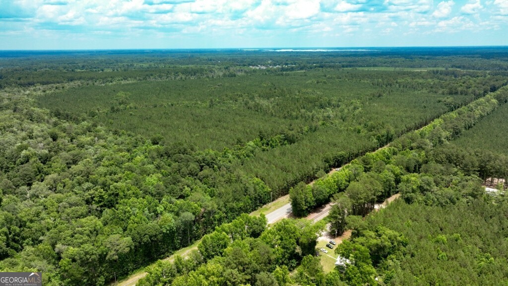 0 Highway 204 & Carlos Cowart Road Pembroke, GA 31321 - Photo 14 of 47