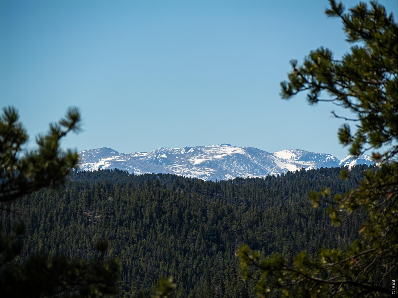 2737 Red Ashby Road Livermore, CO 80536 - Photo 24 of 26