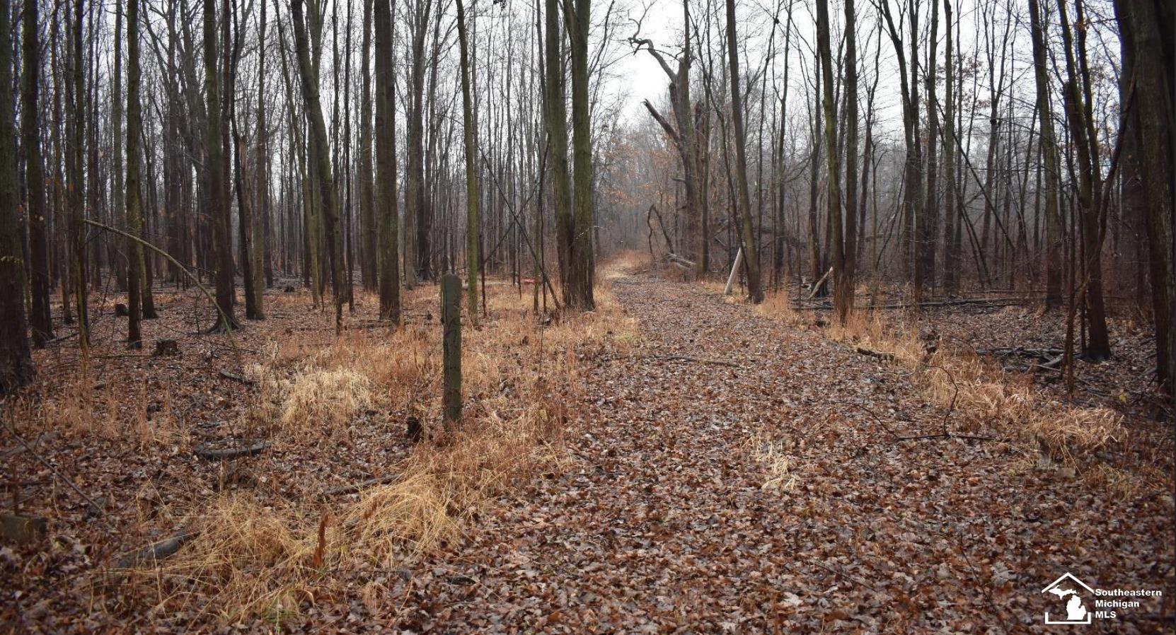1 Allison Road Maybee, MI 48159 - Photo 10 of 14