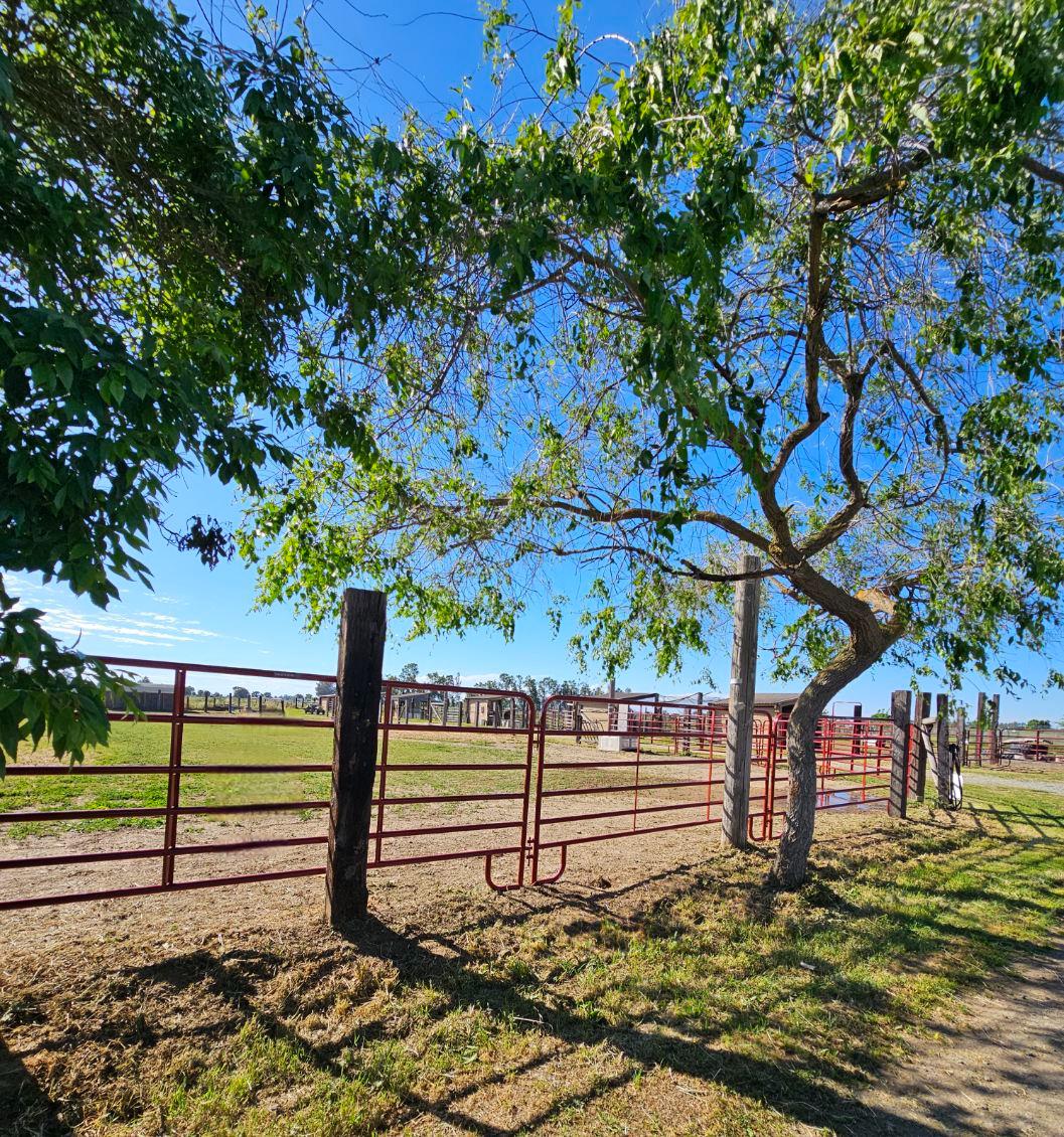13512 Alta Mesa Road Galt, CA 95632 - Photo 80 of 98 Gallery Image 80