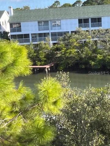 a view of a trees in a yard