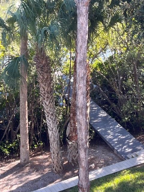 14839 Seminole Trail Seminole, FL 33776 - Photo 27 of 35 a view of a trees in a yard