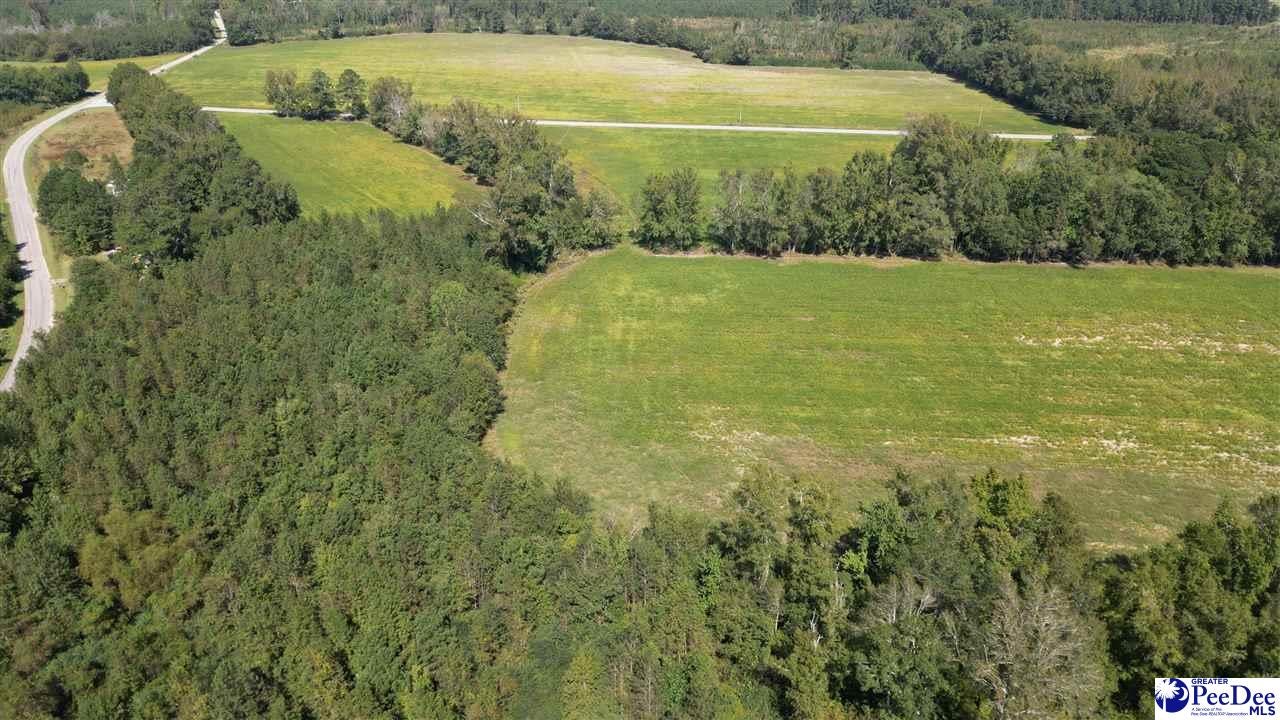Lot D Dalcho Road Latta, SC 29565 - Photo 7 of 9 Gallery Image 7
