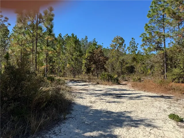 $17,000 | 45 Heritage Circle, Hortense, GA 31543