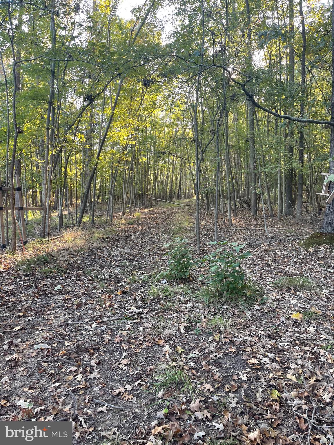 5743 Shady Side Road Churchton, MD 20733 - Photo 61 of 63 Gallery Image 61