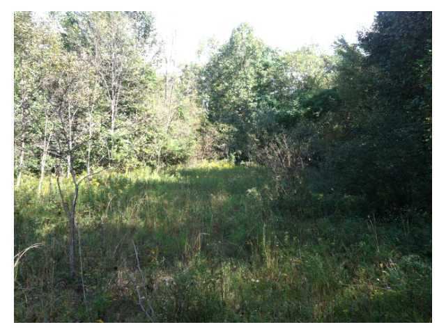 10799 Wesley Chapel Road Mount Perry, OH 43760 - Photo 6 of 11 Gallery Image 6