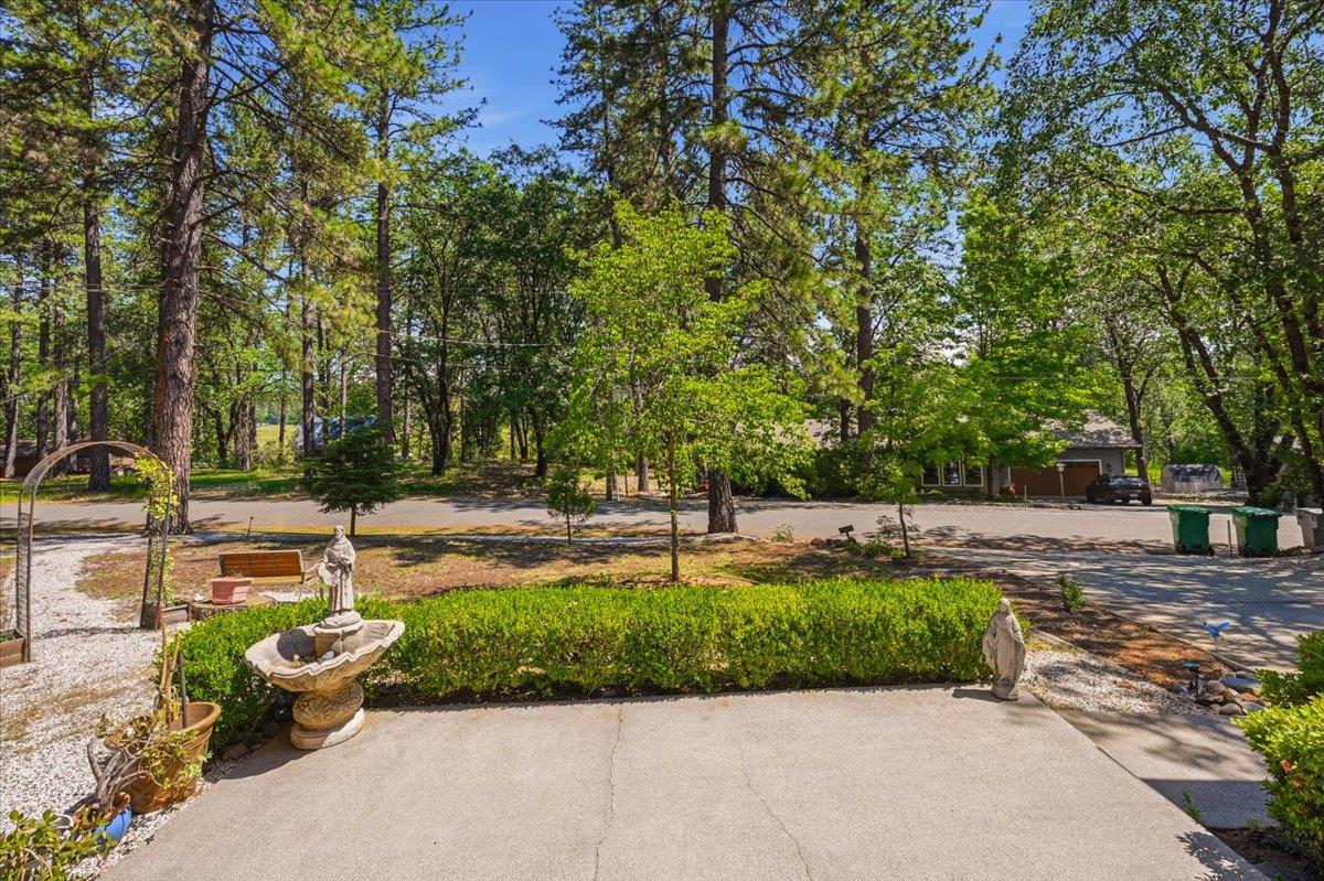 12600 Friar Tuck Road Grass Valley, CA 95949 - Photo 29 of 56 a park with large trees