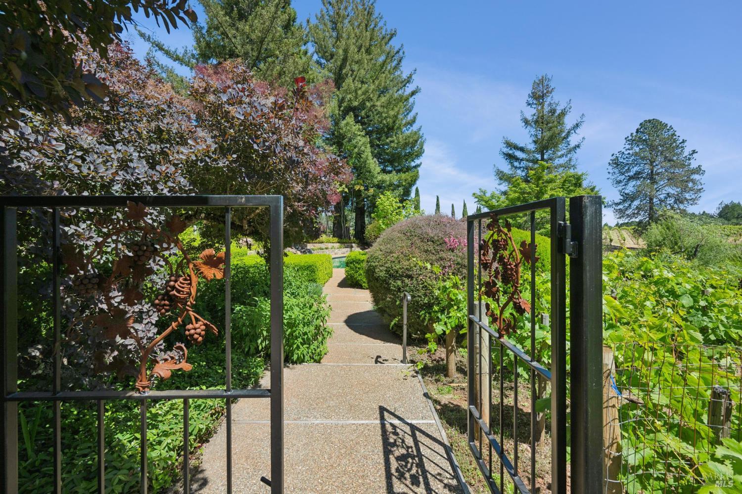 1633 Dry Creek Road Healdsburg, CA 95448 - Photo 39 of 64