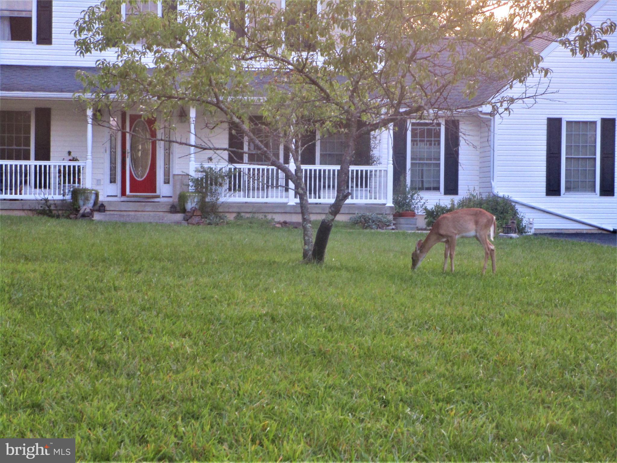 1446 County Rte 1/1 Berkeley Springs, WV 25411 - Photo 7 of 28 Gallery Image 7