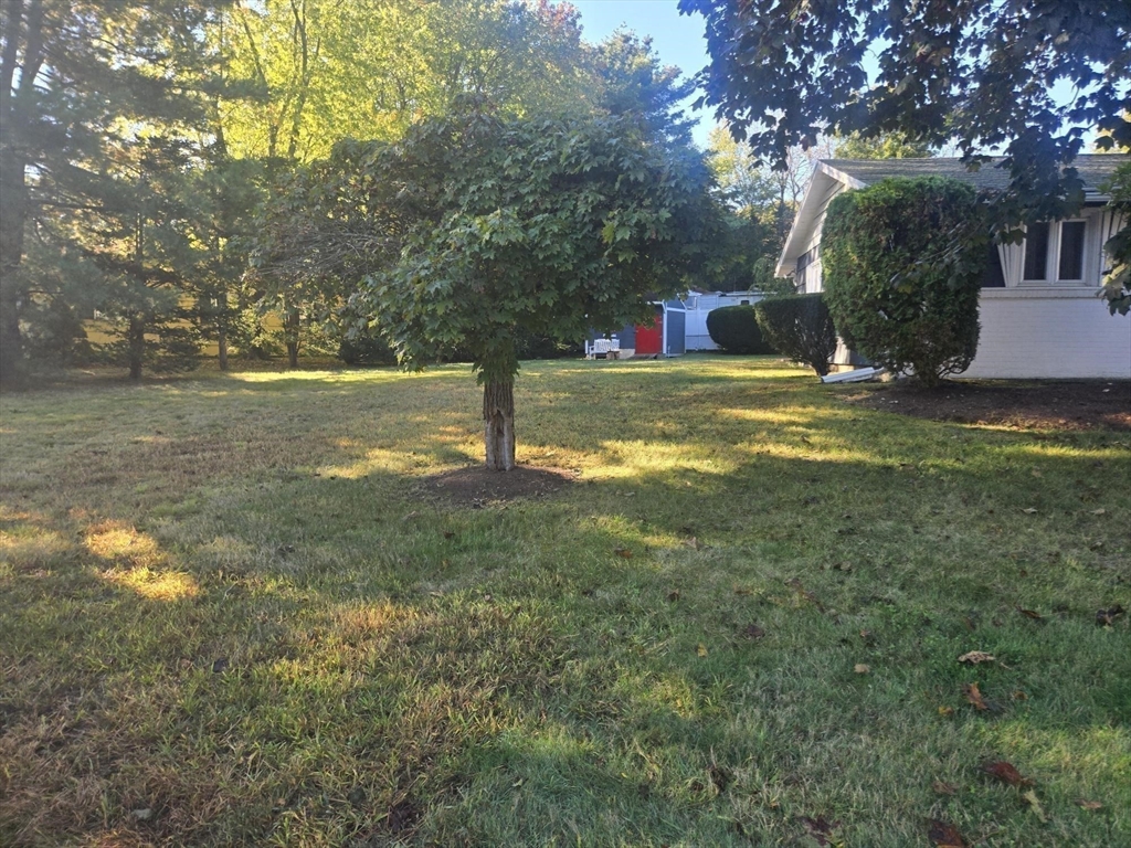 1 Ridgehill Road Canton, MA 02021 - Photo 23 of 39 a view of a trees in front of a house