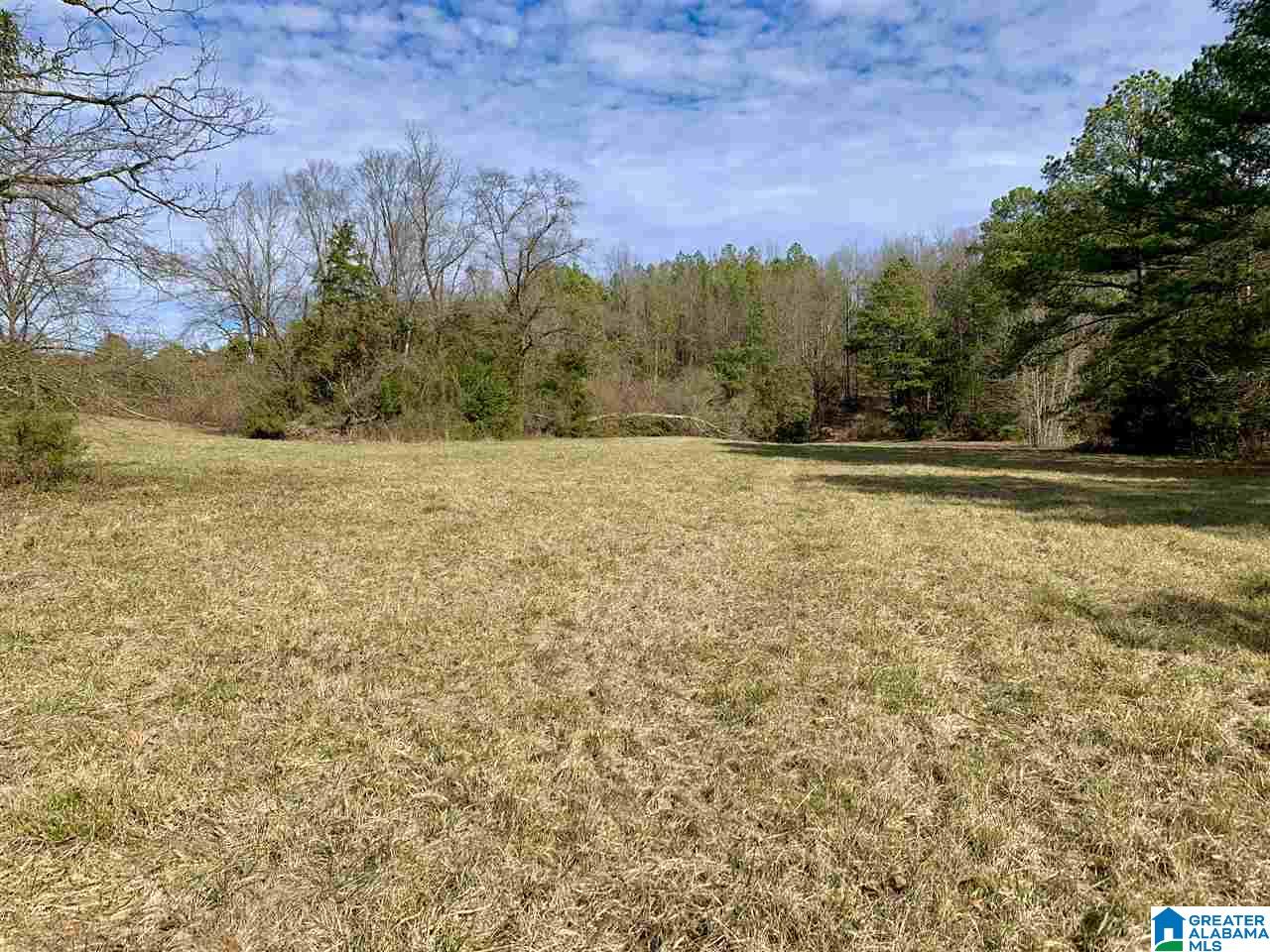 0 County Road 16 Calera, AL 35040 - Photo 20 of 22