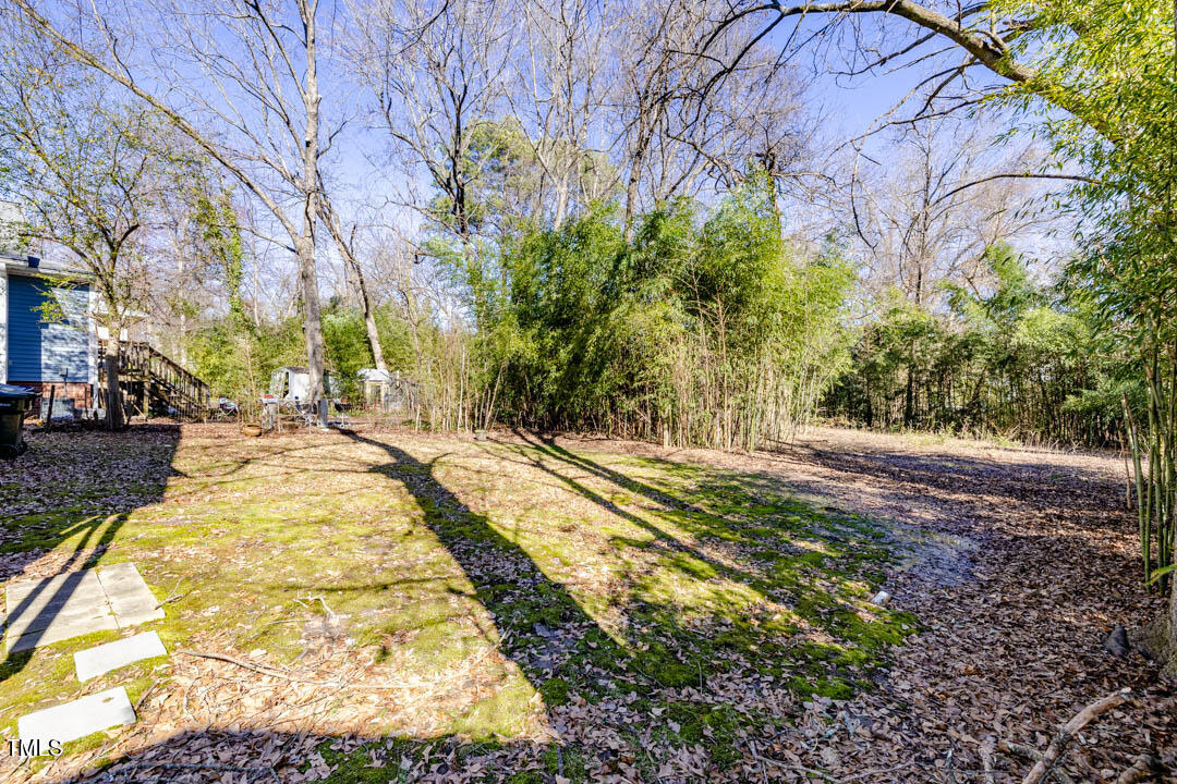 1008 Clarendon Street Durham, NC 27705 - Photo 46 of 46 015A9972-HDR