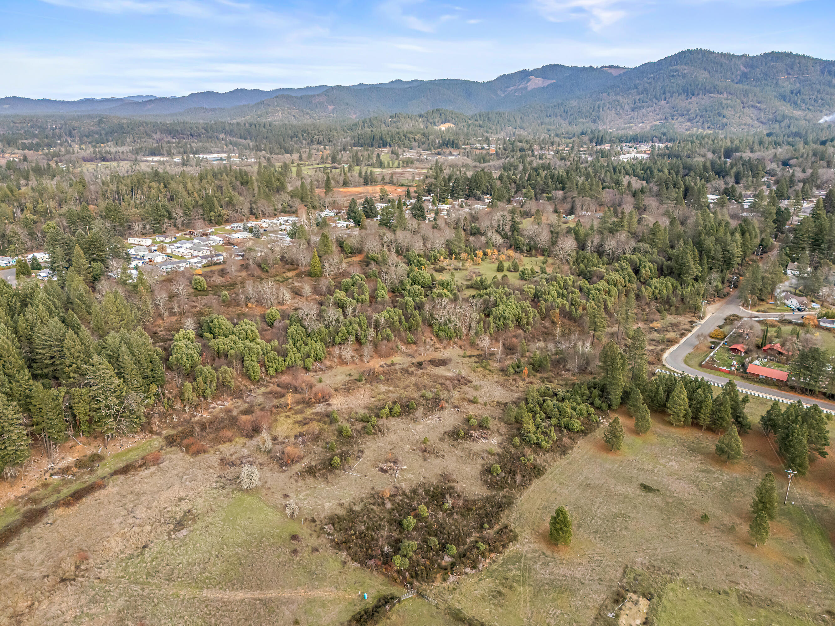 620 West River Street Cave Junction, OR 97523 - Photo 4 of 15 a view of a forest with mountains in the background