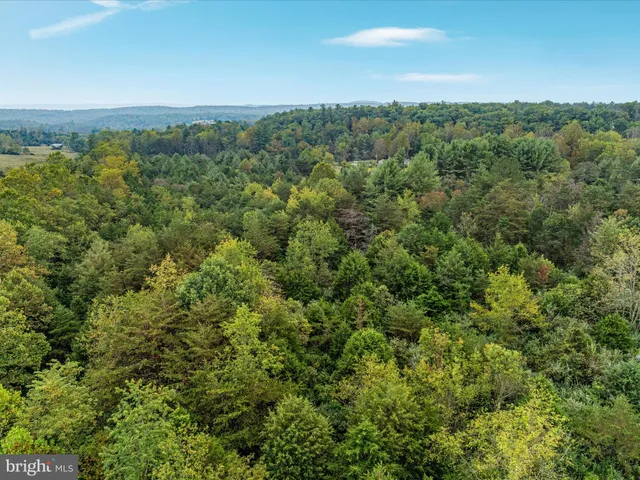 a view of a city with lush green forest
