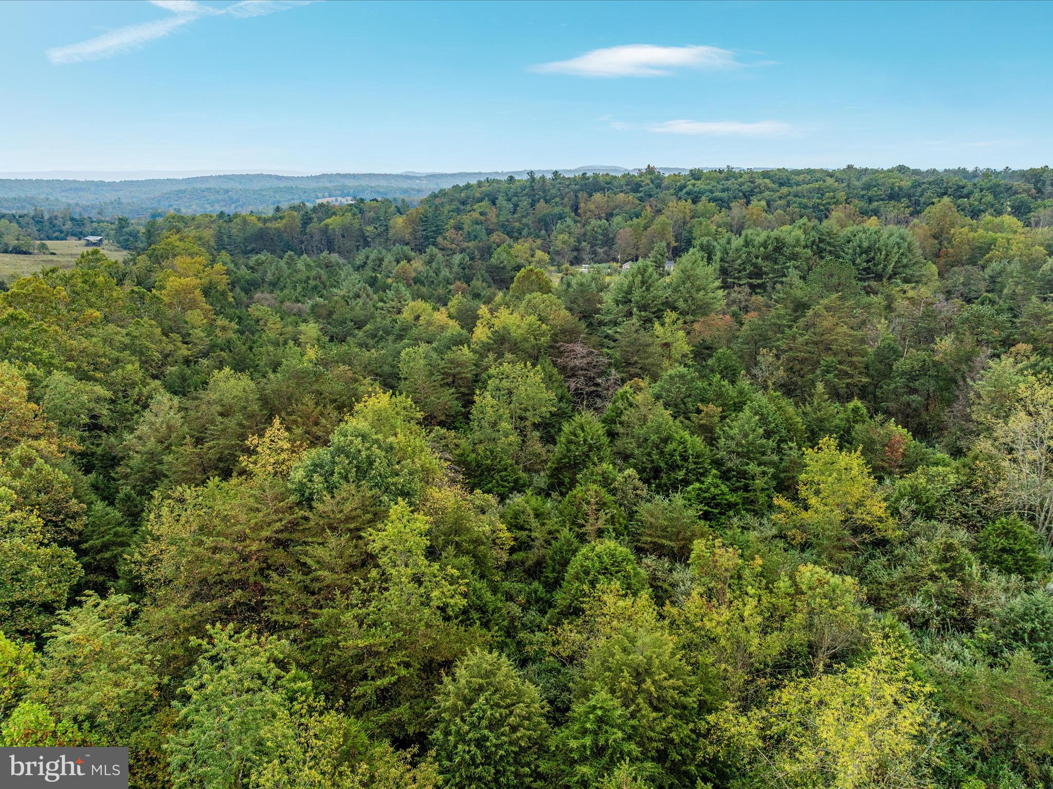 0 Dellinger Gap Road Edinburg, VA 22824 - Photo 11 of 14 a view of a city with lush green forest