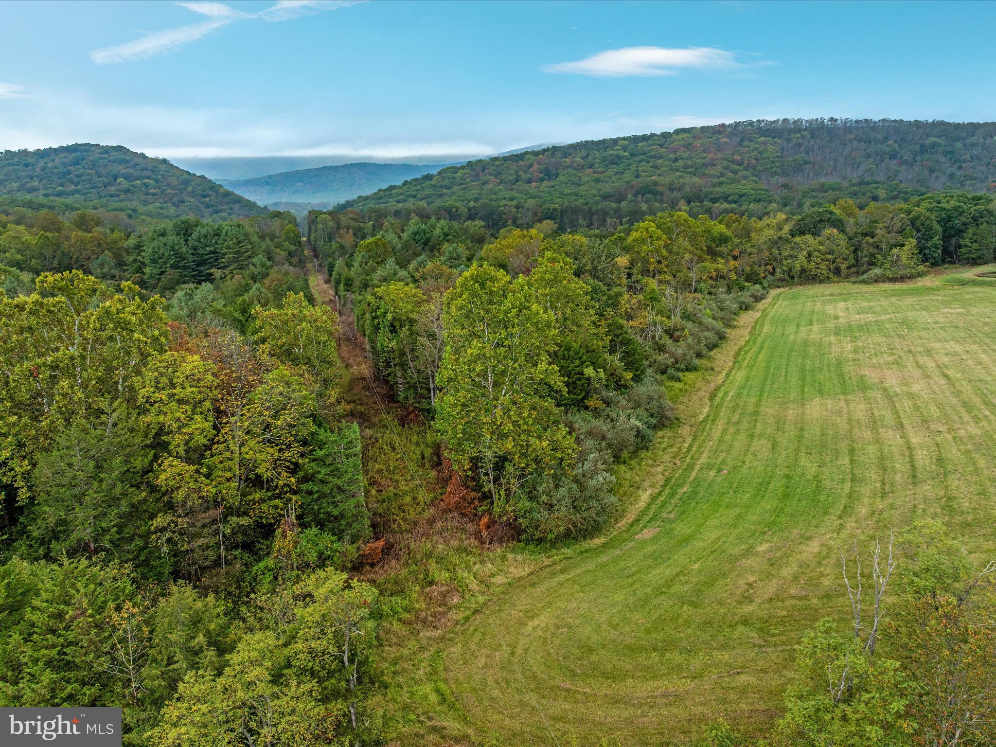0 Dellinger Gap Road Edinburg, VA 22824 - Photo 12 of 14 a view of a yard