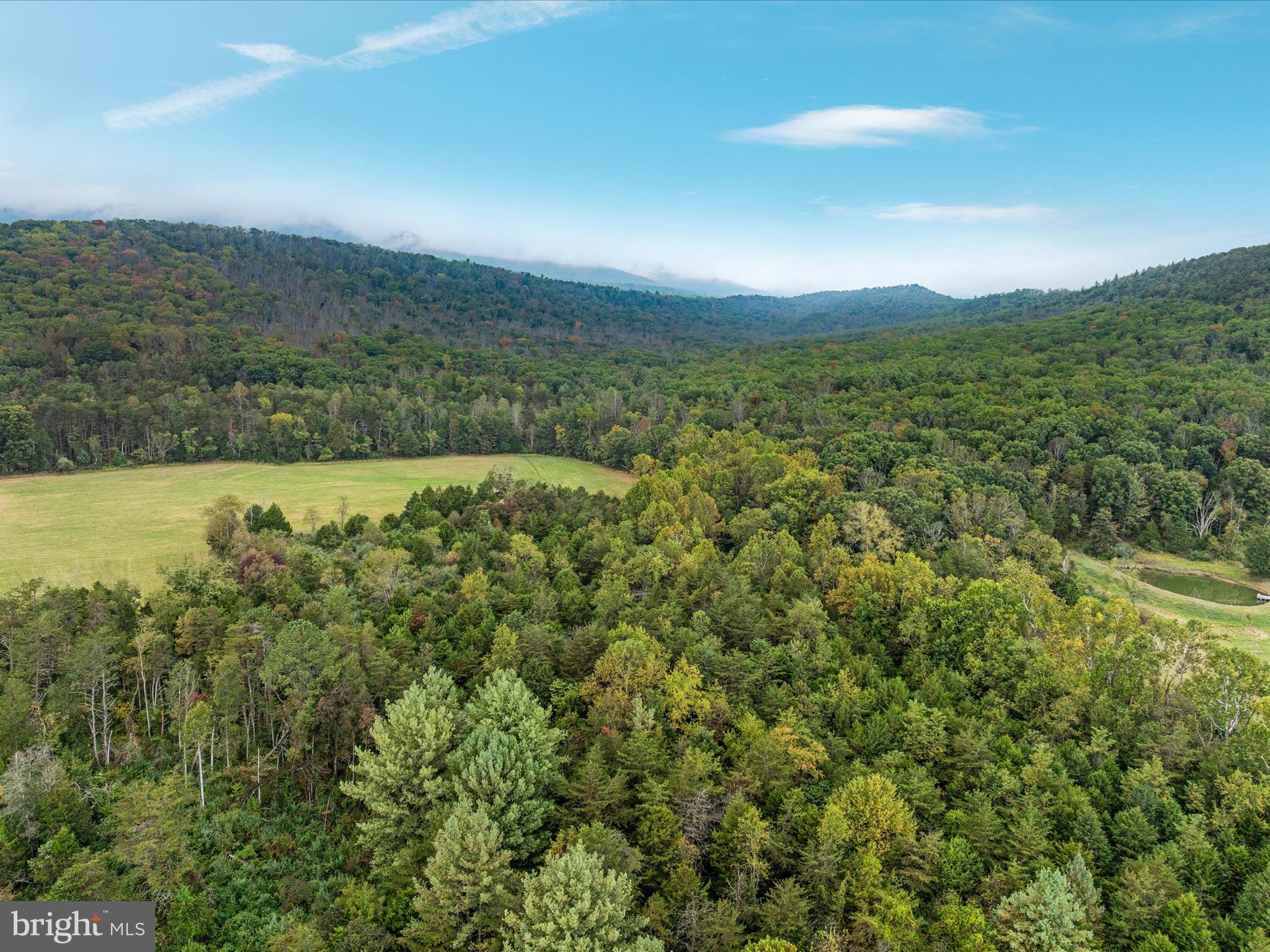 0 Dellinger Gap Road Edinburg, VA 22824 - Photo 13 of 14 a view of a lush green forest with trees in the background