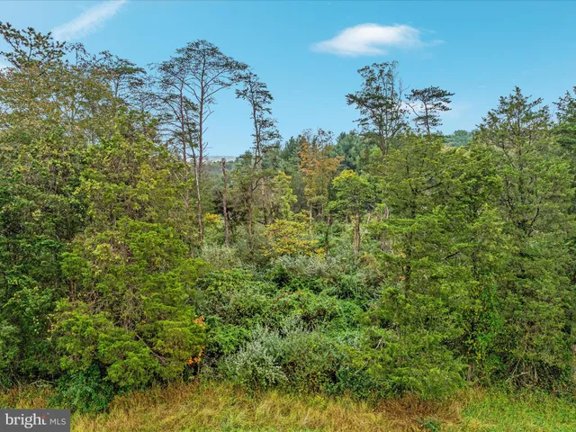 a view of a green field