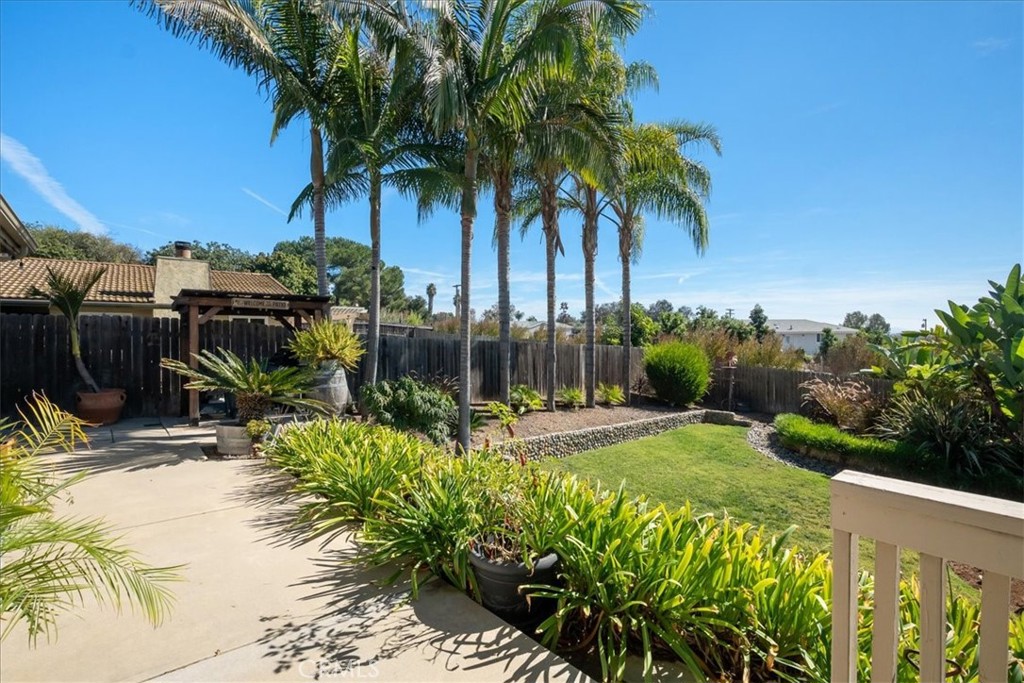 1321 June Street Fallbrook, CA 92028 - Photo 36 of 44 a view of a yard with plants