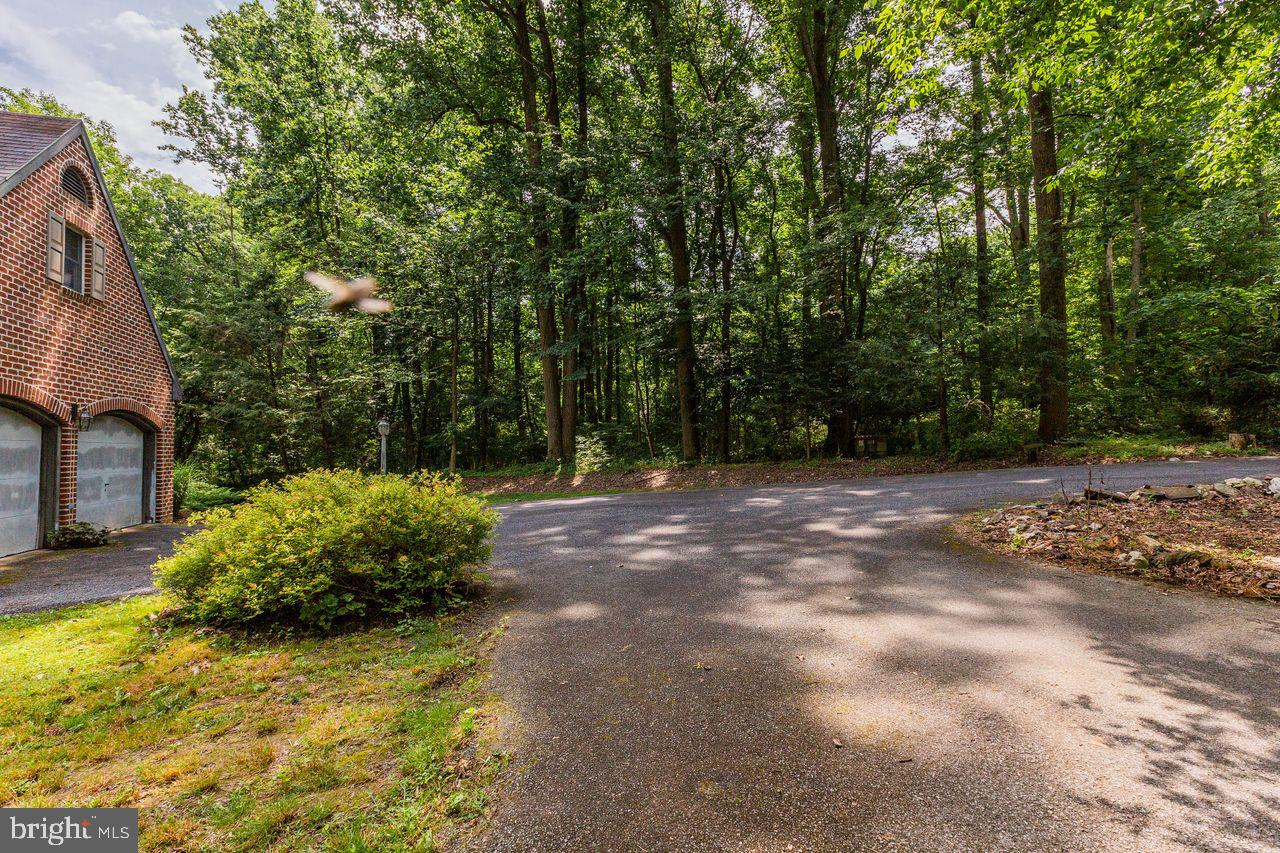 2923 Pinch Road Manheim, PA 17545 - Photo 13 of 85