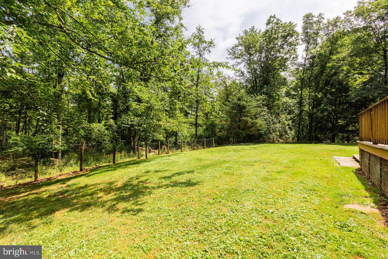 2923 Pinch Road Manheim, PA 17545 - Photo 76 of 85