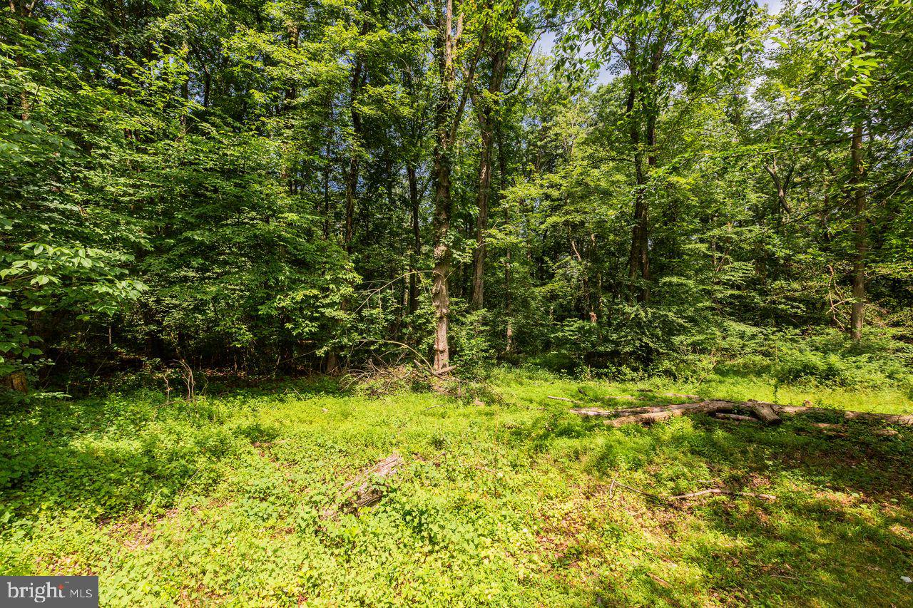 2923 Pinch Road Manheim, PA 17545 - Photo 77 of 85