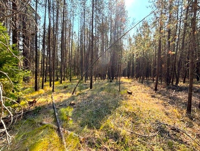 4171 Lyon And Moss Road Loon Lake, WA 99148 - Photo 16 of 23 Gallery Image 16