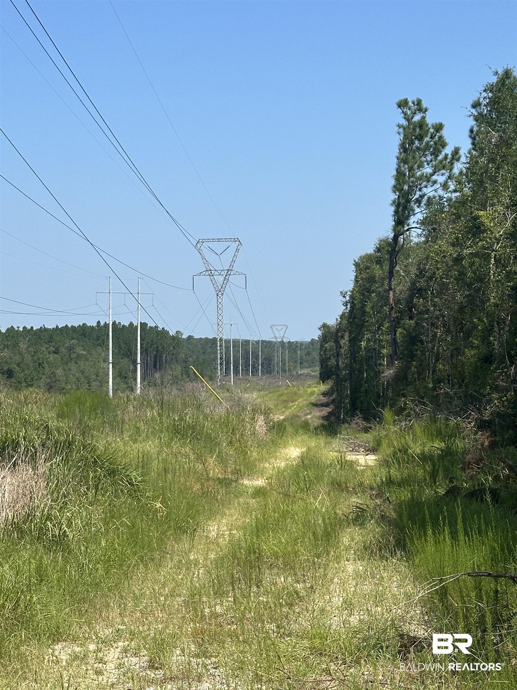 17175 Kelly Road Mount Vernon, AL 36560 - Photo 13 of 30 View of landscape