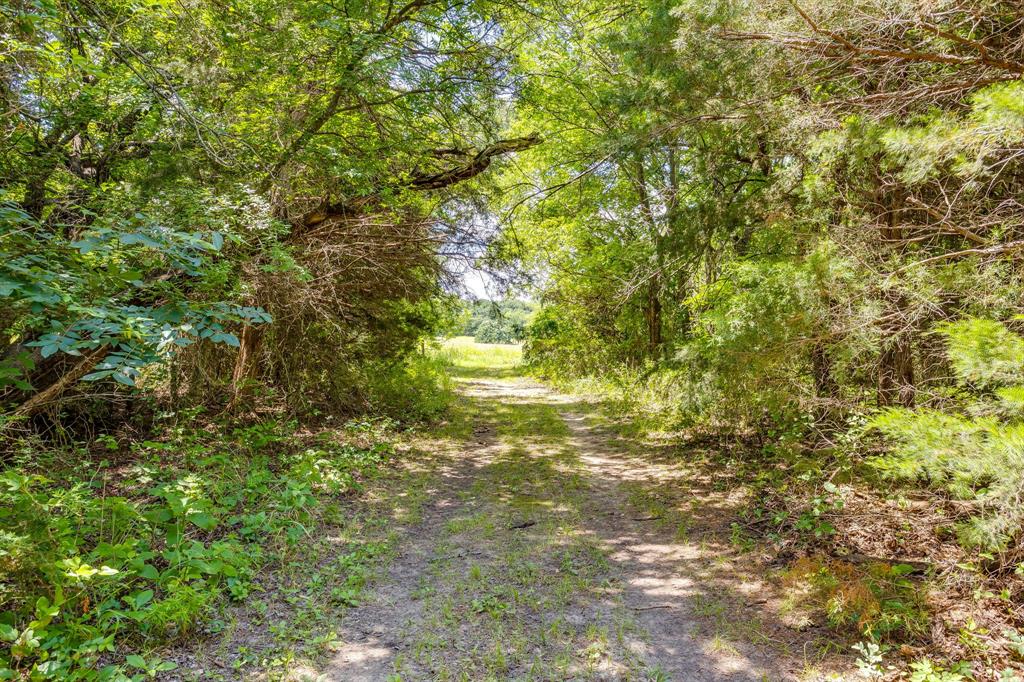 10287 Fm 1749 Sunset, TX 76270 - Photo 29 of 40