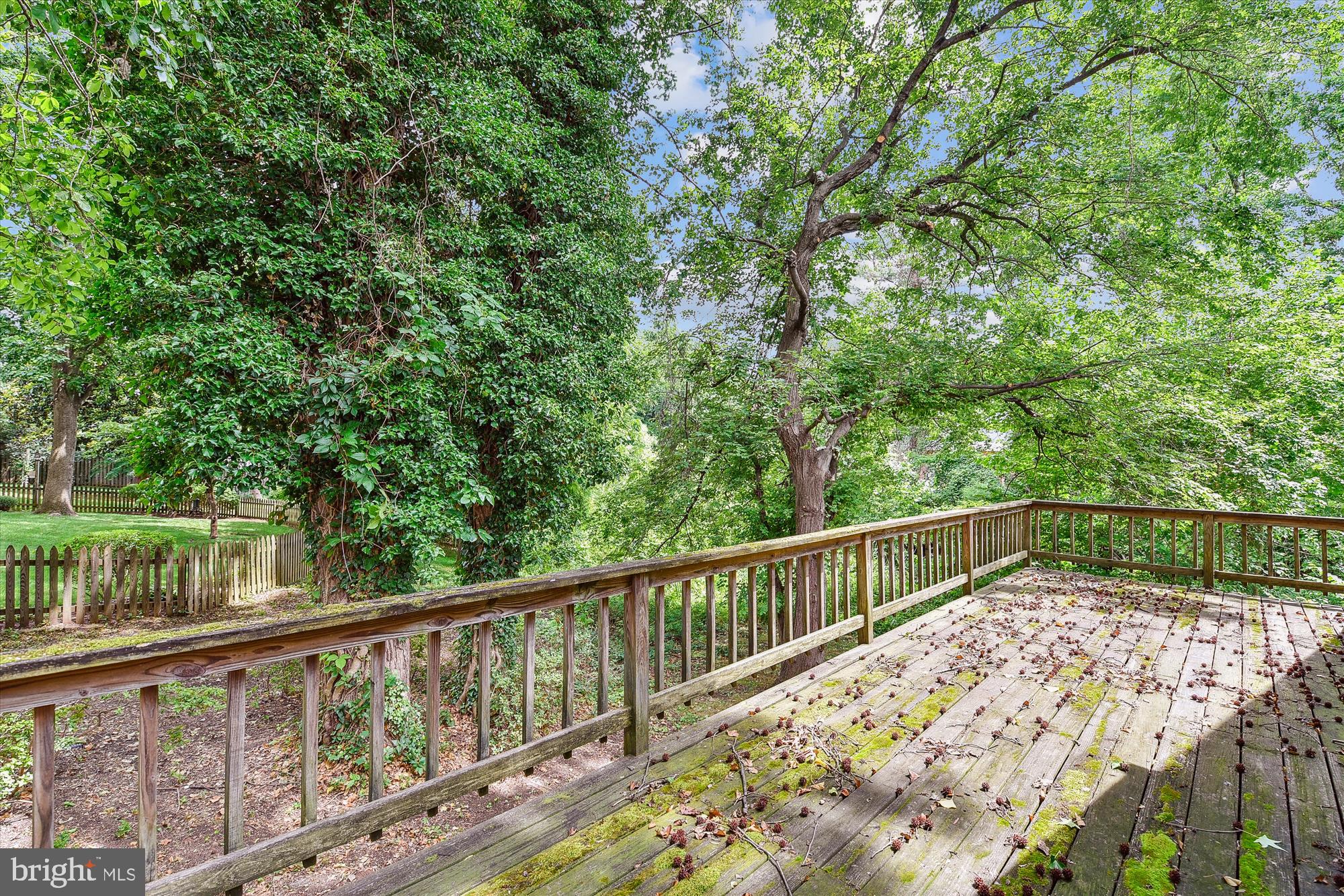 1513 Ritchie Lane Annapolis, MD 21401 - Photo 31 of 72 Deck