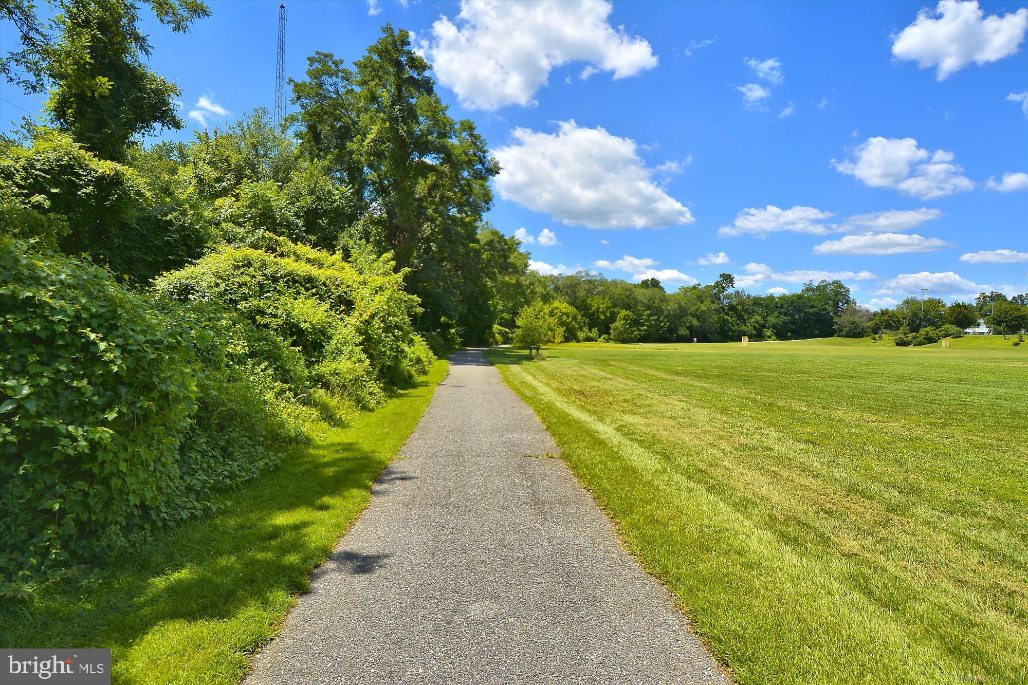 1513 Ritchie Lane Annapolis, MD 21401 - Photo 71 of 72 Annapolis City Park Walking Trails