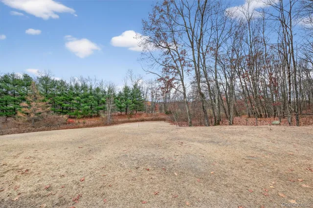 a view of a backyard of a house