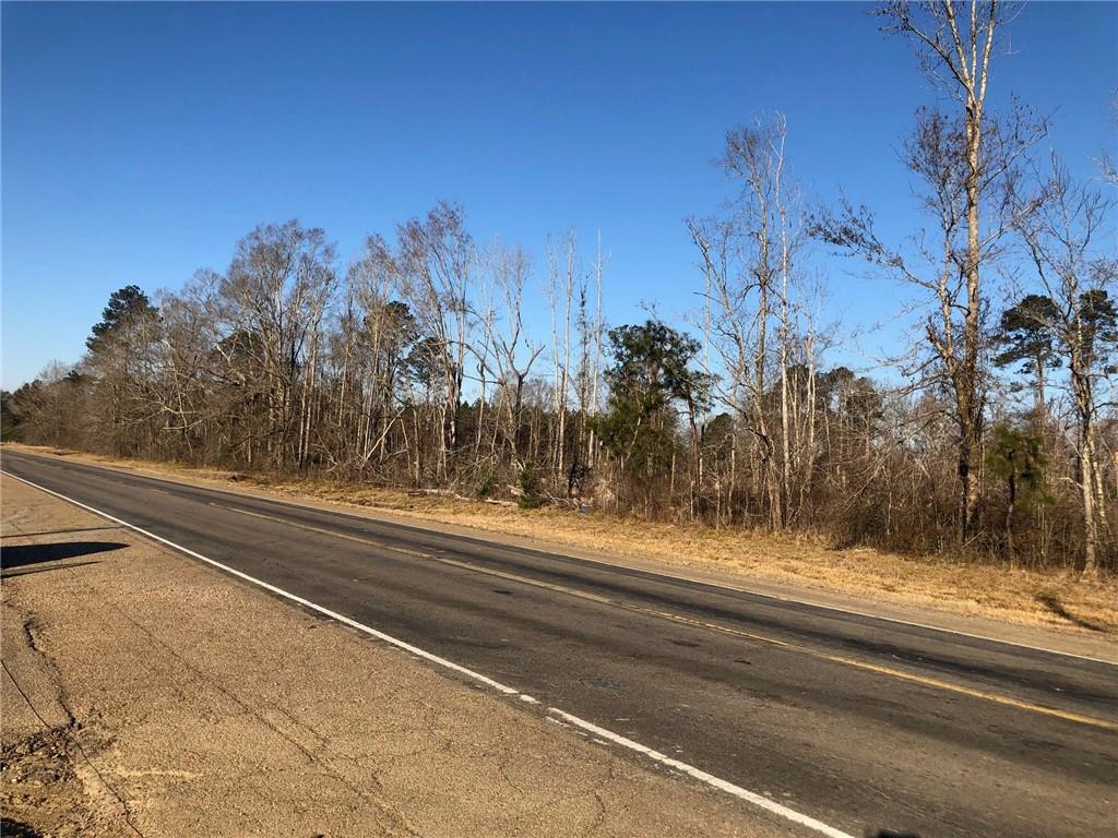 0 West Horseshoe Road Amite, LA 70422 - Photo 1 of 10 Gallery Image 1