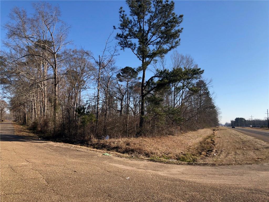 0 West Horseshoe Road Amite, LA 70422 - Photo 3 of 10 Gallery Image 3
