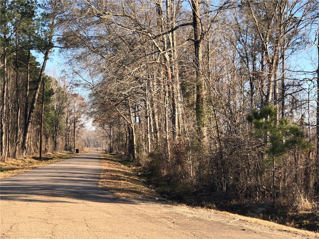 0 West Horseshoe Road Amite, LA 70422 - Photo 5 of 10 Gallery Image 5