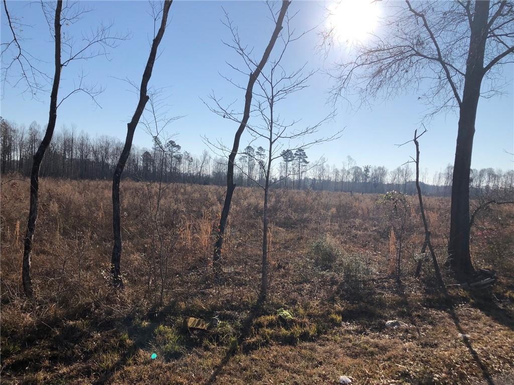 0 West Horseshoe Road Amite, LA 70422 - Photo 9 of 10 Gallery Image 9