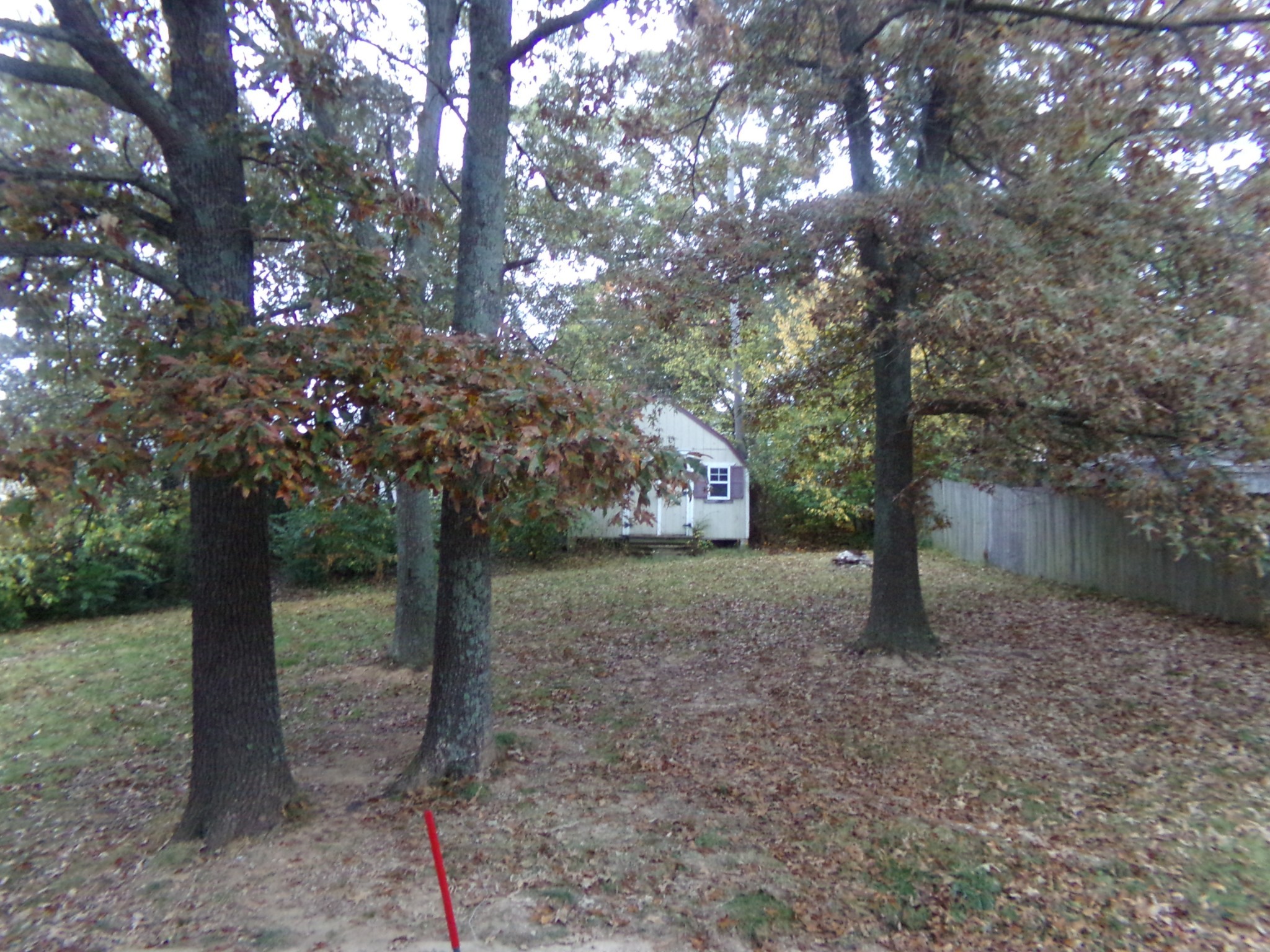 1114 10th Avenue East Springfield, TN 37172 - Photo 8 of 14 Gallery Image 8