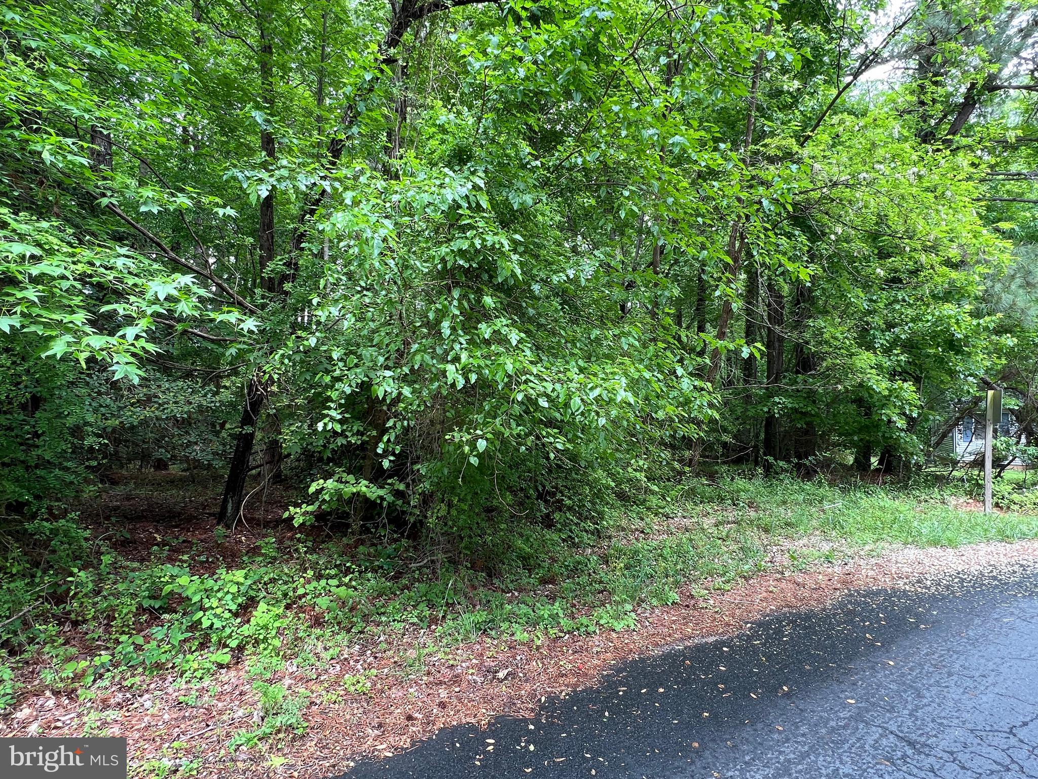 892 Crystal Rock Road Lusby, MD 20657 - Photo 1 of 3 Flat up front then slopes to the back